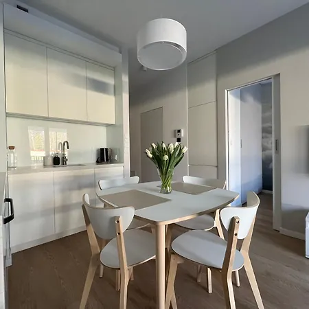 Smart Rakowicka Apartment